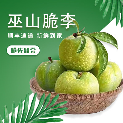 巫山脆李 中华名果   48枚礼品装（单果重45g-55g）图2