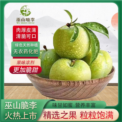 巫山脆李 中华名果   48枚礼品装（单果重45g-55g）图4